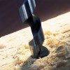 Bosch Burghiu pentru lemn elicoidal 20x385x450mm