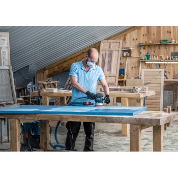 Bosch EX 25 Foi abrazive C470, 225mm, G80, 19gauri