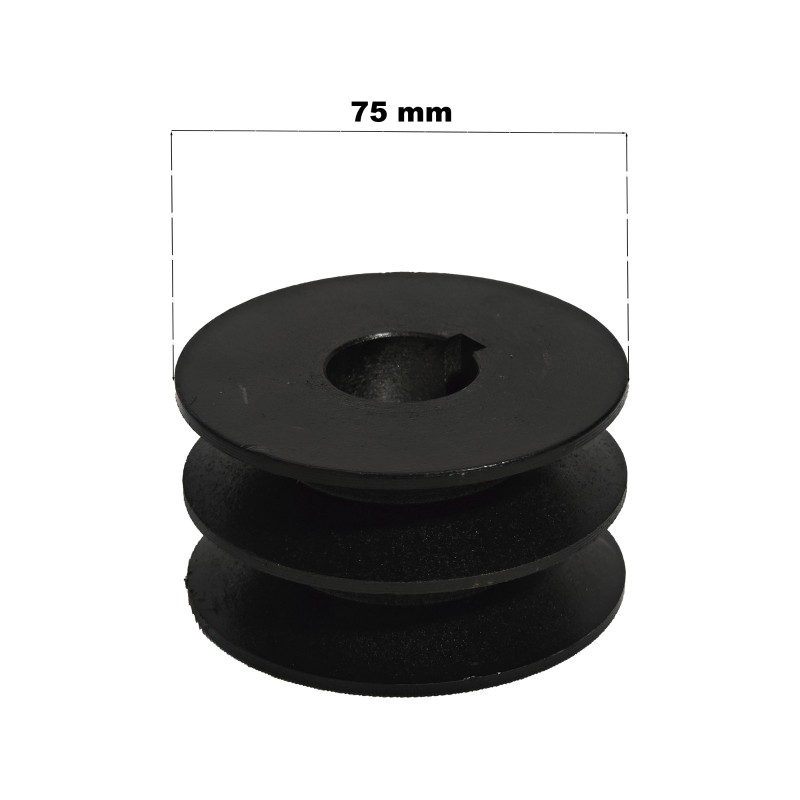 Motor pe Benzina, 4 timpi, DDT Profesional, 13 CP cu fulie dubla