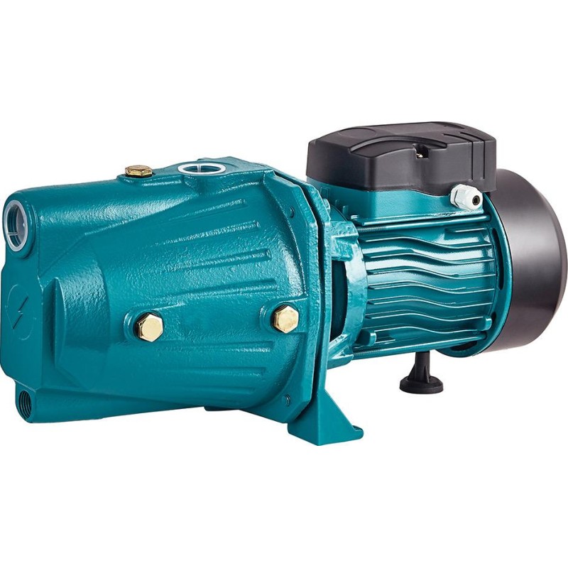 Pompa de gradina Auto-amorsanta DDT JET-100L, 1500 W, 12 m3 h debit apa, 1   diametru , 50 m inaltime refulare, 9 m adancime absorbtie