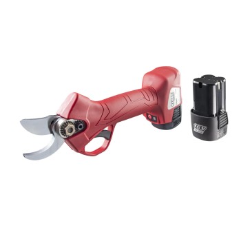 Foarfeca electrica de gradina 16V 2x2Ah 25mm Case RD-PSH02