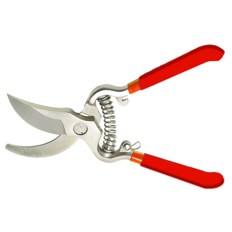 Foarfeca pt. vie 10"/250mm TG