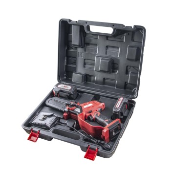 R20 fierastrau electric de gradina 2Ah&4Ah RDP-SBGP20 Set