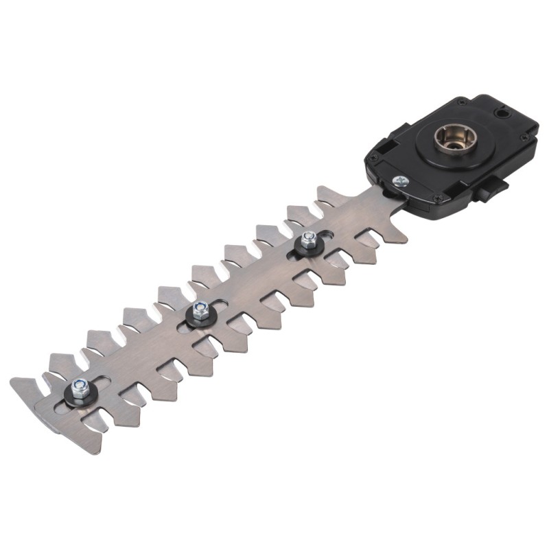 R20 Foarfeca gazon si trimmer gard viu 2in1 2Ah RDP-KGSHT20