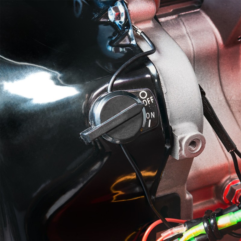 Tocator crengi pe benzina  420cc 8,6kW 100mm RD-GSH02