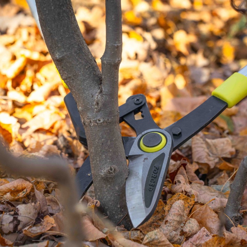 Foarfeca crengi telescopica mecanism clichet tip nicovală GX