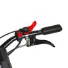 Motocultor 5.2kW (7.0hp) 120cm 2+1 viteze far RD-T13