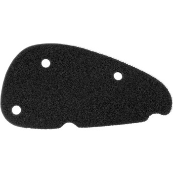 ELEMENT FILTRU AER APRIL. SR 50