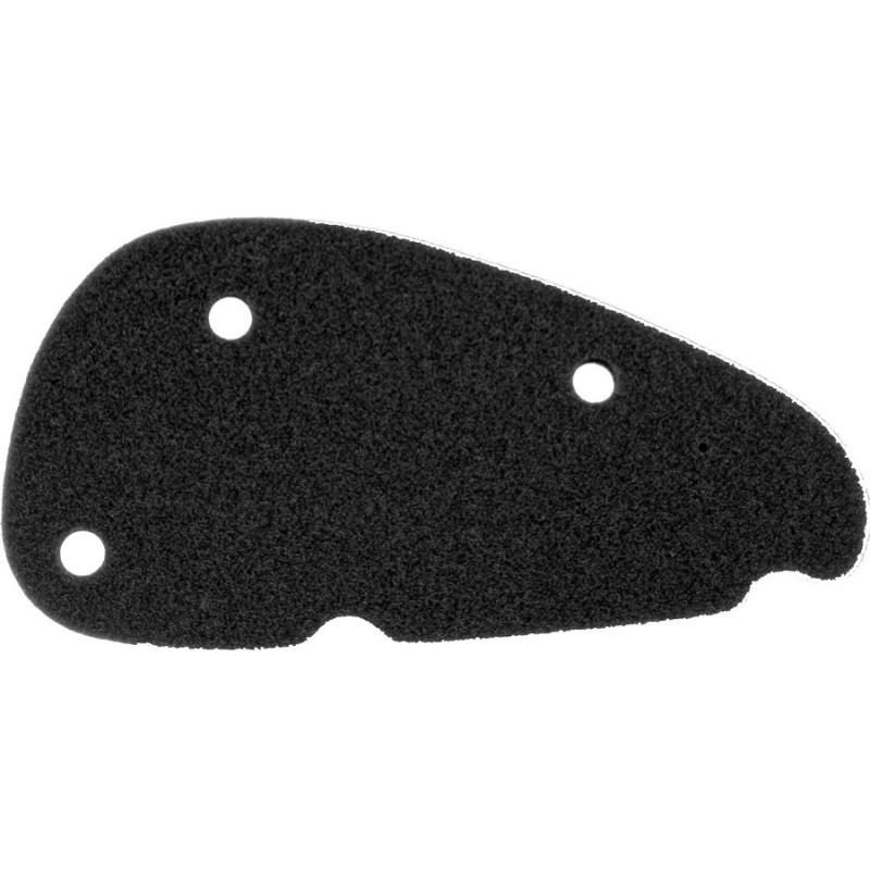 ELEMENT FILTRU AER APRIL. SR 50