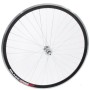 ROATA - 28x1.5-1.75 - SPATE - AL DUB - (MTB, 36H, 14G)