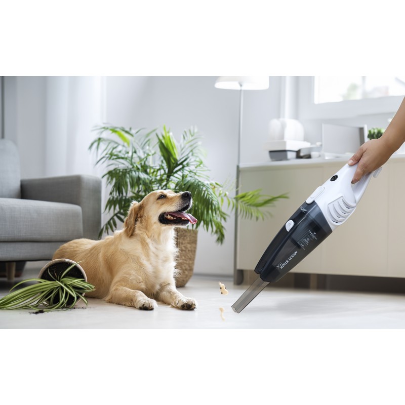 Aspirator vertical Floria ZLN8192 Alb, 2 in 1, fara sac, 800W, cablu de 4.2 m