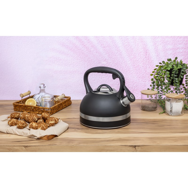 Ceainic din inox cu fluier Zilan ZLN1283, Culoare negru, Compatibil gaz, electric  inductie, Capacitate 3L