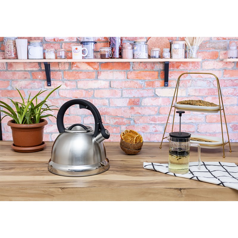 Ceainic cu fluier Zilan ZLN1306 din otel inoxidabil, Compatibil gaz, electric  inductie, Capacitate 3.5L