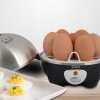 Fierbator de oua ZİLAN ZLN-8075, Negru 360W, Capacitate 7 oua,